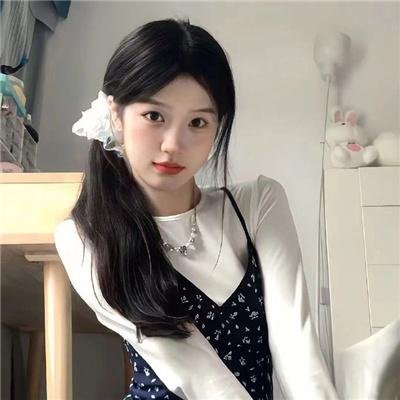 圣骑密令